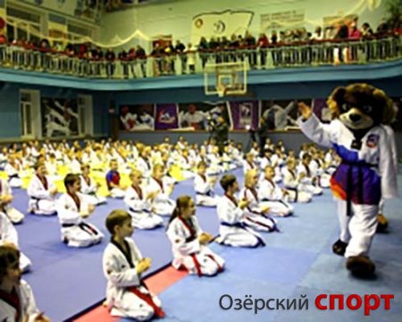 Более 200 детей покажут приемы тхэквондо на чемпионате мира в Челябинске